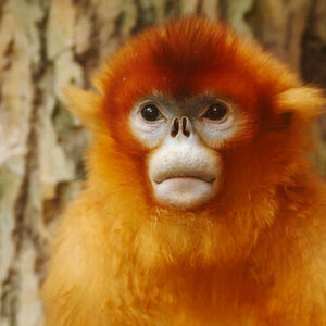 Fundraising Page: Brandon Tremblay